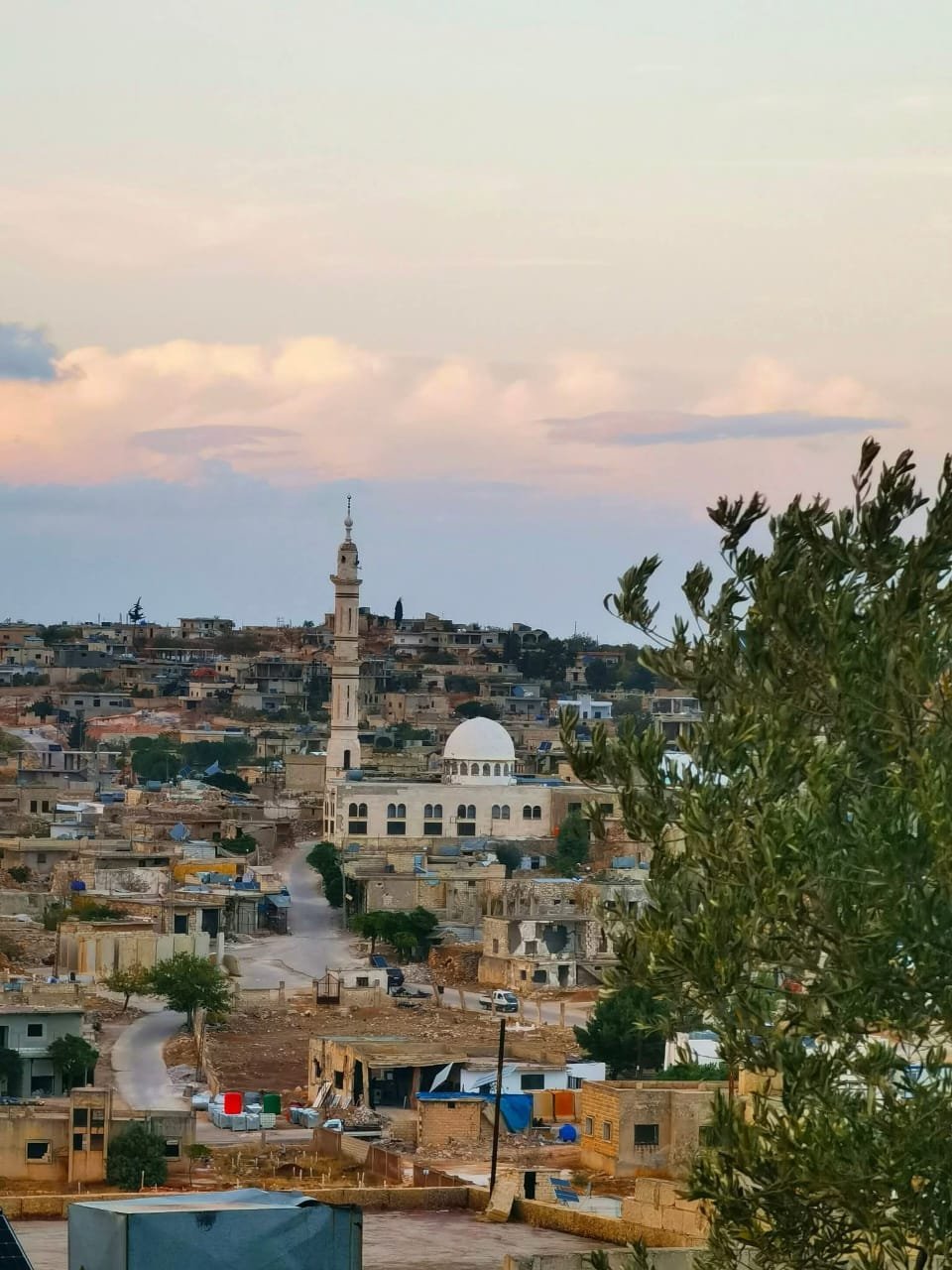 صورة من كنصفرة